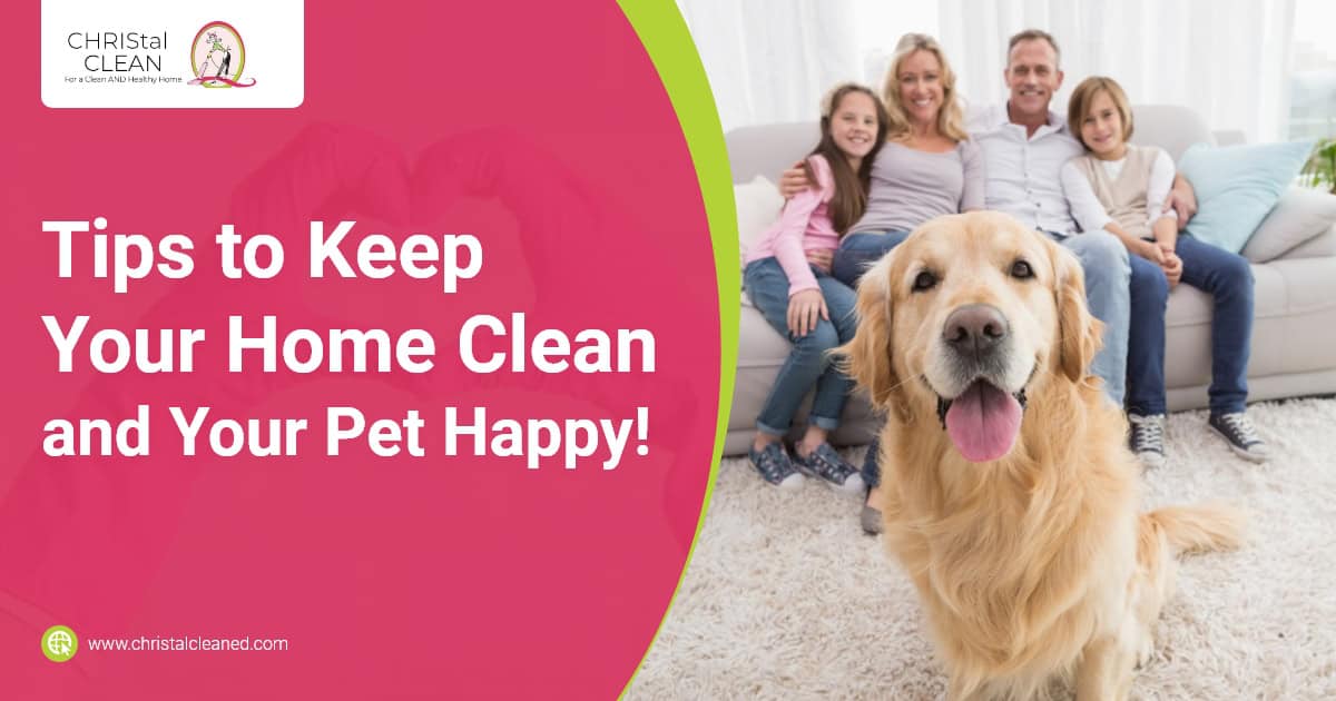 christal-clean-6-tips-to-keep-your-home-clean-and-your-pet-happy