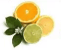 citrus-fruit-oils