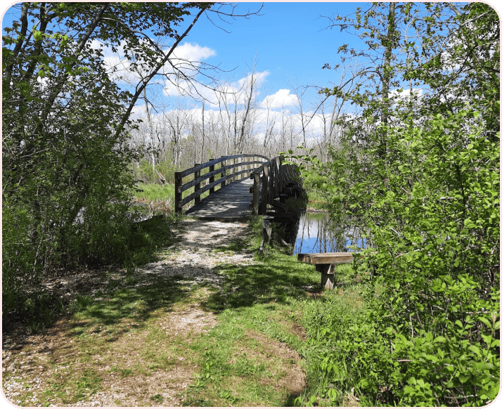 A wooden footbridge on a wooded hiking trail