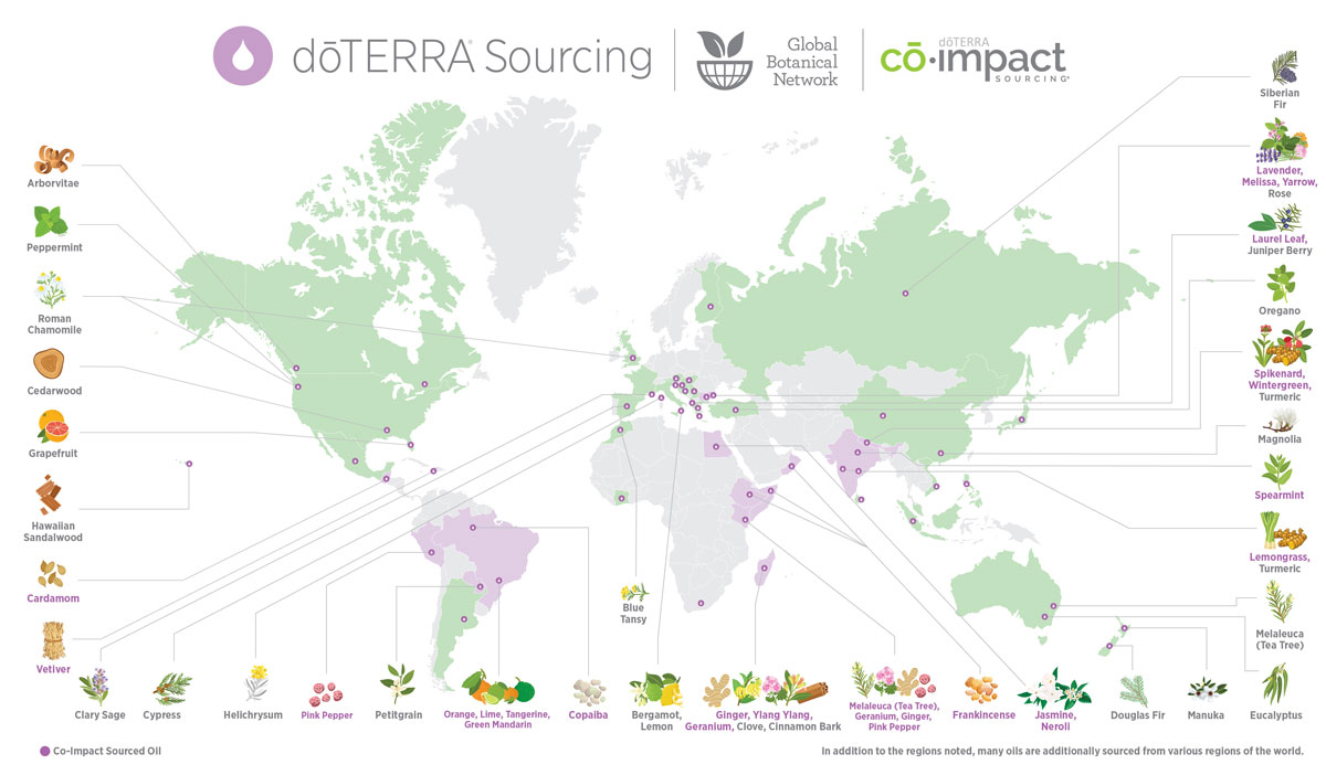 co-impact sourcing map
