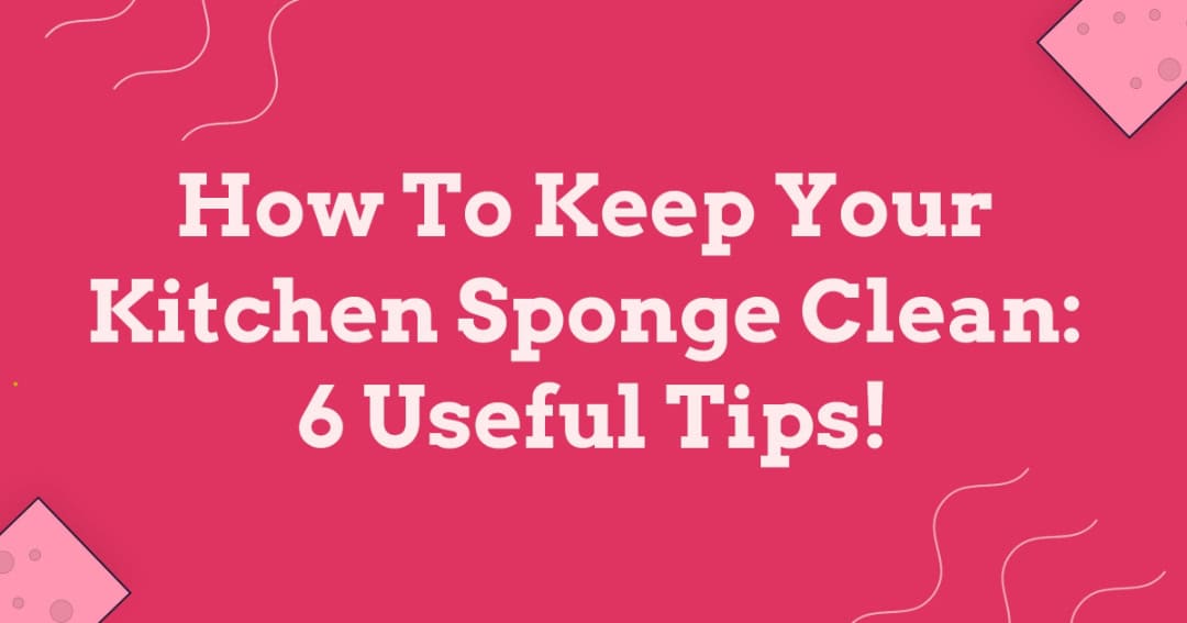 How To Keep Your Kitchen Sponge Clean: 6 Useful Tips!